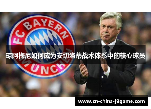 琼阿梅尼如何成为安切洛蒂战术体系中的核心球员