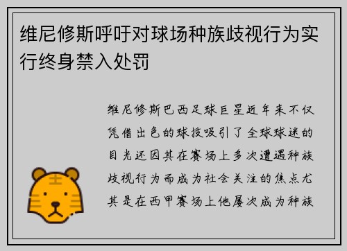 维尼修斯呼吁对球场种族歧视行为实行终身禁入处罚