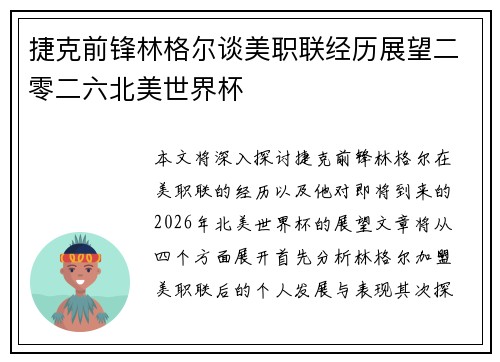 捷克前锋林格尔谈美职联经历展望二零二六北美世界杯